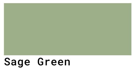 Sage Green Color Codes - The Hex, RGB and CMYK Values That You Need Sage Green Color, Green Hex Code, Green Web, Pistachio Color, Soft Green Color, Web Colors, Small Nurseries, Hex Color Codes, Color Picker