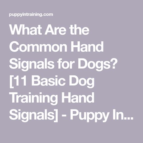 What Are the Common Hand Signals for Dogs? [11 Basic Dog Training Hand Signals] - Puppy In Training Dog Hand Signals Chart, Dog Training Hand Signals Chart, Hand Signals For Dogs, Kennel Training A Puppy, Deaf Dog Training, Dog Training Hand Signals, Dog Hand Signals, Puppy Training Treats, Puppy Training Biting