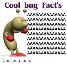 Cool Bug Facts, Bug Facts, Disgusting Humor, Cool Bugs, Bo Burnham, Worst Movies, Lose My Mind, Fun Quotes Funny, Cute Illustration