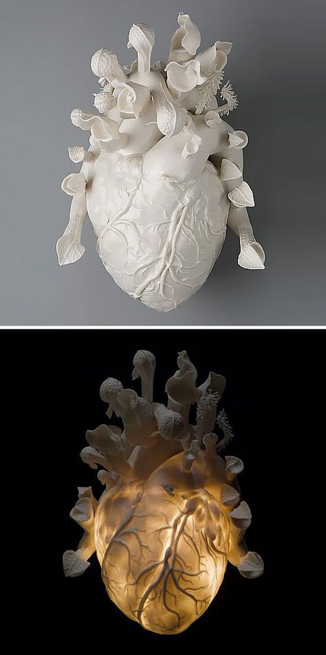 Kate Mcdowell, Organ Sculpture, Heart Sculpture Art, Realistic Heart Sculpture, Human Heart Sculpture, Heart Installation, Anatomical Heart Sculpture, Kate Macdowell Sculpture, Kate Macdowell