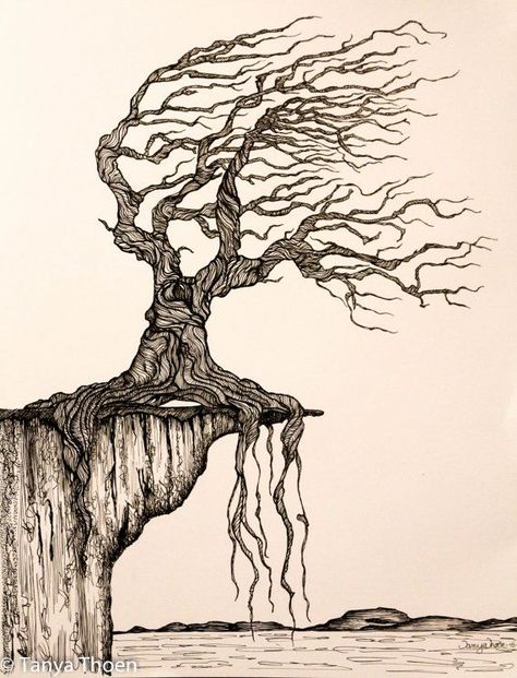 Ink Drawing, "Aged to Perfection", wind blown tree poised on a cliff Drawing Of A Tree, Wind Drawing, Image Zen, Tree Drawings Pencil, Tree Sketches, Aged To Perfection, Landscape Drawings, Tree Drawing, Tree Tattoo