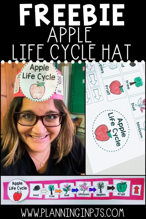 FREE apple life cycle hat or headband to have students demonstrate their knowledge on how an apple grows #appletheme #applecraft #applelifecycle Preschool Apples, Reading Preschool, Science Kindergarten, Apple Kindergarten, Apple Week, September Ideas, Apple Life Cycle, Apple Day, Apple Lessons