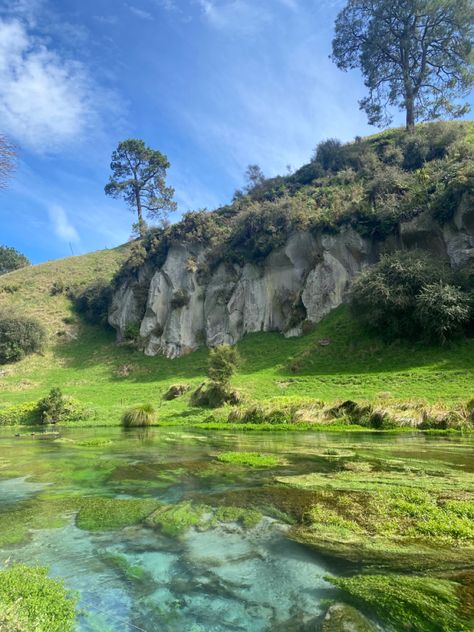 New Zealand Nature Aesthetic, New Zealand Forest Aesthetic, Nz Aesthetic, New Zealand Beach Aesthetic, Blue Springs New Zealand, New Zealand Aesthetic, Blue Spring New Zealand, New Zealand South Island Photography, Heart Nature