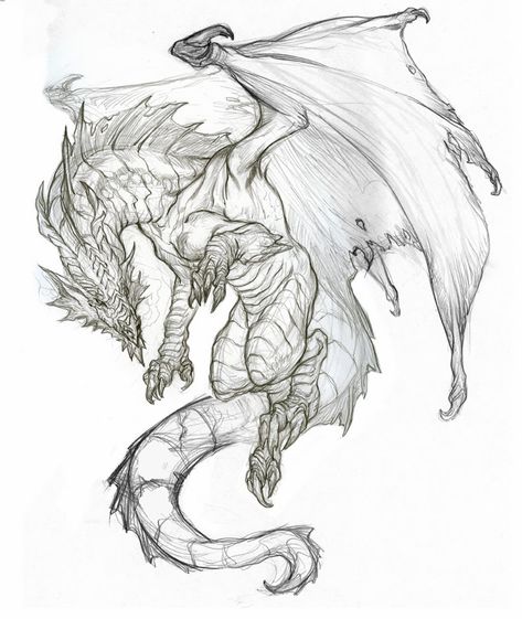 VinodBlog Dragon Poses, Dragon Anatomy, Dragon Tattoo Art, Dragon Sketch, Cool Dragons, Dragon Tattoo Designs, Creature Drawings, Desenho Tattoo, Fantasy Creatures Art