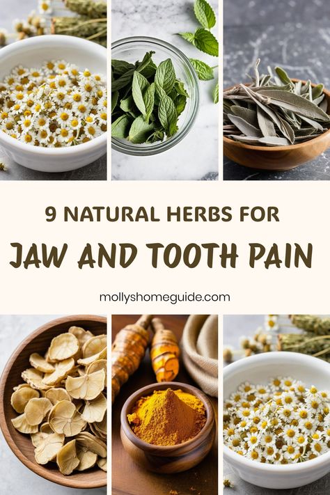 Explore the power of natural remedies for tooth and jaw pain with these effective DIY solutions. Find relief from toothaches using herbs, essential oils, and therapeutic ointments. Discover self-care practices for temporalis headaches and tooth infections to alleviate discomfort. Combat tooth abscesses and infections with gentle yet potent natural antibiotics. Say goodbye to wisdom tooth pain and embrace holistic healing methods for long-lasting relief. Herbs For Tooth Ache, Diy Antibiotics For Tooth Infection, Natural Tooth Pain Relief, Toothache Remedies, Tooth Pain Remedies, Wisdom Teeth Pain, Tooth Pain Relief, Healing Methods, Tooth Infection