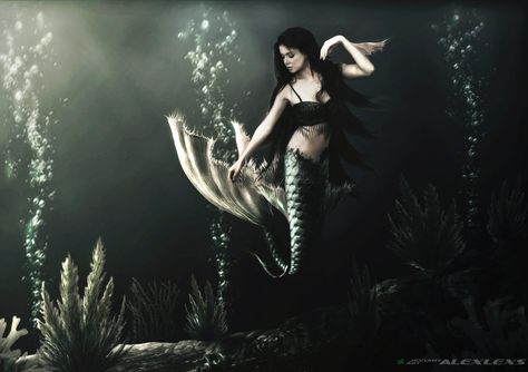 Mermaid 2 by Alexlexs on DeviantArt Mermaid Tale, Mermaid Tails, I Really Love You, Beautiful Mermaids, Really Love You, Love Blue, A Mermaid, Mermaid Tail, Hi Everyone