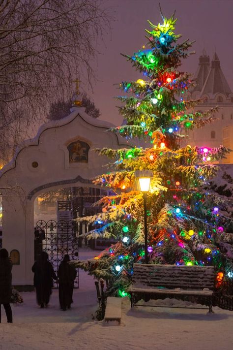 Catholic Christmas Aesthetic, Christian Christmas Aesthetic, Slavic Christmas, Orthodox Christmas, Catholic Christmas, New Year 2023, Russian Orthodox, Christian Christmas, Good Deeds