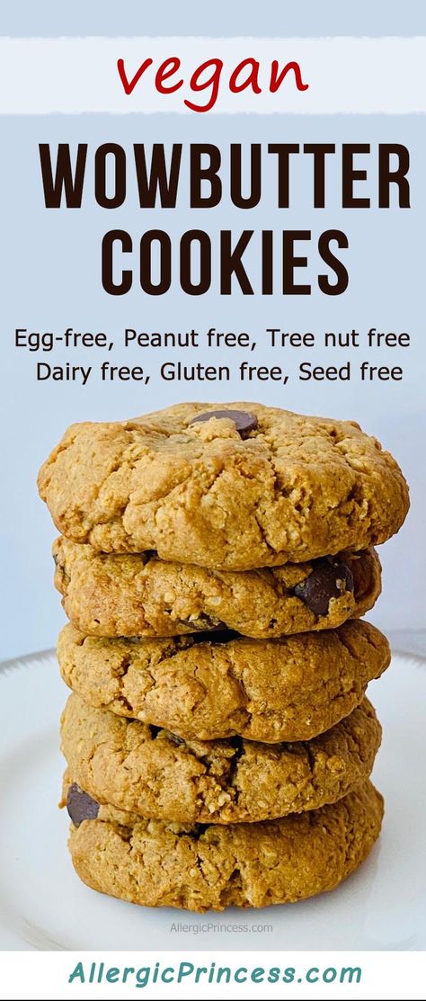 WOWBUTTER COOKIES NO EGG - ALLERGIC PRINCESS Allergy Friendly Cookie Recipes, Paleo Peanut Butter Cookies, Daycare Recipes, Allergy Friendly Cookies, Class Treats, Allergy Recipes, Healthy Peanut Butter Cookies, Dairy Recipes, Gluten Free Peanut Butter Cookies