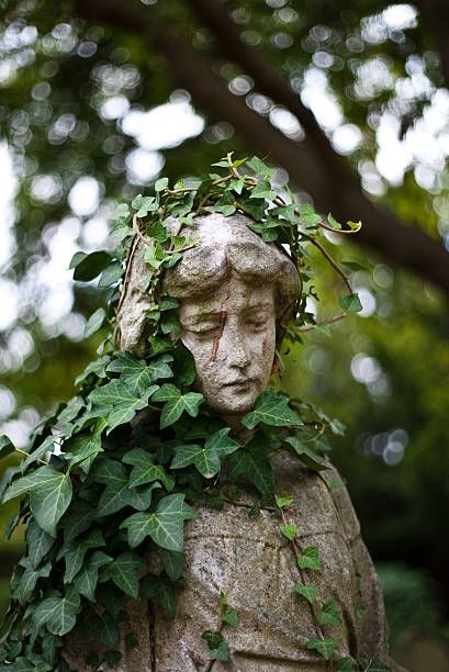 For this week, I’d like to showcase this image of a sculpture uploaded by Starry Diadem on Flickr. I started looking into sculptures that have been overgrown as I was doing my research. I really love the framing and the angle this photo was taken in; it really highlights the beauty of both the statue and the growing nature! (This is a blog post for my art class at Texas State University!) Overgrown Statue, Dark Naturalism Aesthetic, Voice Of Nature, Green Academia, Growth And Decay, Ancient Statues, Texas State University, Stone Statues, Pinturas Disney