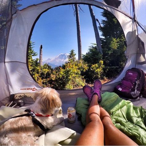 Camping With Dogs Instagram Will Inspire You To Go Hiking With Your Dog Camping With Pets, Camp Living, Granola Life, Dogs Camping, Tent Life, Camping With Dogs, Camping Dog, Dogs Instagram, Camping Store