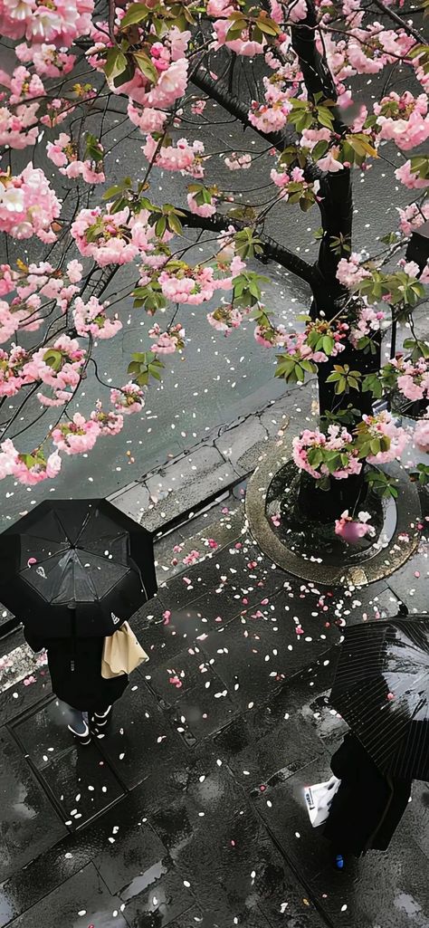 Wallapers Aesthetics Japanese, Japanese Themed Wallpaper, Samsung Wallpapers Aesthetic, My Core Wallpaper, Kawaii Pink Wallpaper Aesthetic, Black Pink Wallpaper Iphone, Wallpaper Backgrounds Korean, Kawaii Japanese Wallpaper, Iphone X Lockscreen