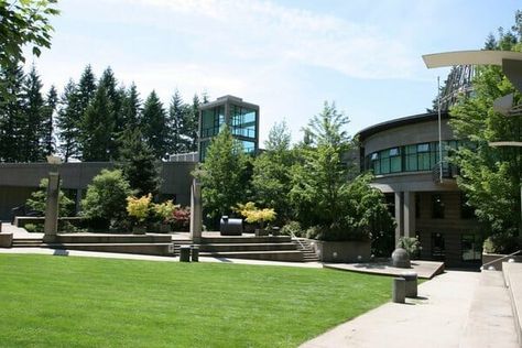 This page will inform you about the Capilano University Admission requirements, courses, tuition fees, scholarships for international students, and other essential pieces of information you need to know. Capilano University is a public university located in the City of North Vancouver, British Columbia, Canada. The university was founded in 1968 as Capilano College but was … The post Capilano University Admissions for International Students appeared first on Work Study Visa. Vancouver Trip, University Scholarships, Scholarships For International Students, University Admission, Post Secondary Education, Community Activities, University Admissions, Work Study, Vancouver British Columbia