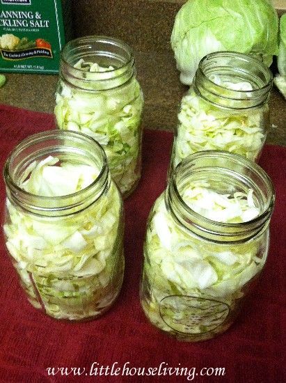 Canning Cabbage, Recipe For Cabbage, Sour Kraut, Canning 101, Food Preserving, Preserving Foods, Canning Pickles, Canning Ideas, Canning Vegetables