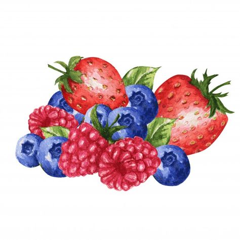 Wild berries mix, strawberry, raspberry,... | Premium Vector #Freepik #vector #watercolor #food #fruit #strawberry Berries Drawing, Raspberry Drawing, Berry Drawing, Berries And Cream, Pink Spring Flowers, Blueberry Ice Cream, Macaron Cake, Fruit Strawberry, Chocolate Waffles