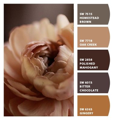 Paint colors from Chip It! by Sherwin-Williams Girl Nurseries, Nursery Color Palette, Nursery Color Scheme, Girls Room Colors, Lamb Nursery, Baby Room Colors, Baby Nursery Diy, Bird Nursery, Baby Room Diy