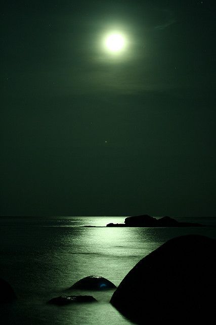 Sea by Night, photo by magnusvk on flickr Pulau Tioman, Dark Green Wallpaper, Shoot The Moon, Dark Green Aesthetic, Hogwarts Aesthetic, Slytherin Aesthetic, Beautiful Moon, The Night Sky, Green Wallpaper