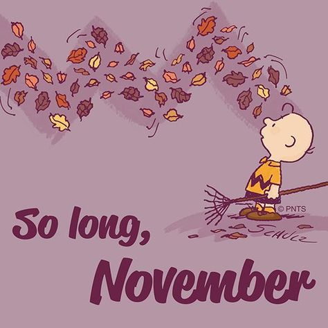 Goodbye, November. Bye November, Goodbye November, Woodstock Charlie Brown, Charlie Brown Characters, November Thanksgiving, Snoopy Funny, Hello November, Snoopy Images, Blog Pictures