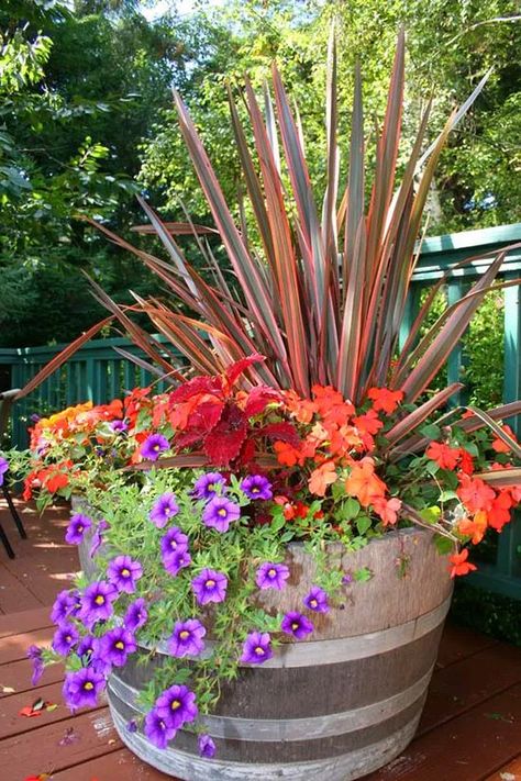 Front Planters, Lanai Ideas, Porch Planter Ideas, Tahoe House, Pot Fillers, Wine Barrel Planter, Barrel Ideas, Fall Container Gardens, Fall Containers