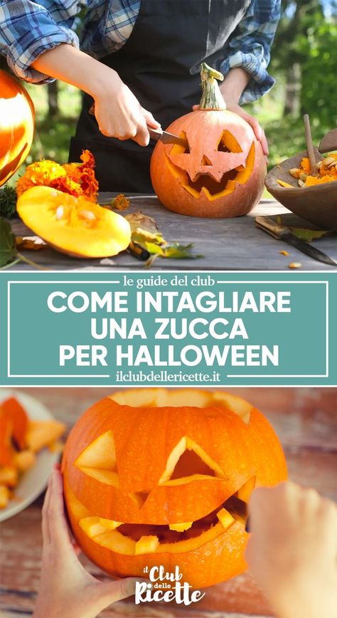 Dreamlike Art, Halloween Tutorial, Zucca Halloween, Halloween Food, Halloween Animals, Jack O, Jack O Lantern, Pumpkin Carving, Halloween Party