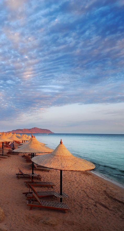 شرم الشيخ, Egypt Tours, The Red Sea, Sharm El Sheikh, Egypt Travel, Paradise Island, Red Sea, Luxor, Lounge Chairs