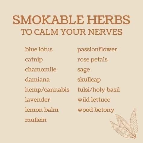 Smokeable Herbs, Magickal Herbs, Witch Herbs, Medical Herbs, Magia Das Ervas, Magic Herbs, Herbal Recipes, Magical Herbs, Herbal Apothecary