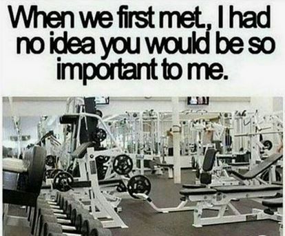 Why I Love Going to the Gym Fitness Quotes Funny Gym Humor, Gym Jokes, Workout Memes Funny, Gym Humour, Gym Memes Funny, Funny Gym, Gym Quote, Workout Memes, Gym Memes