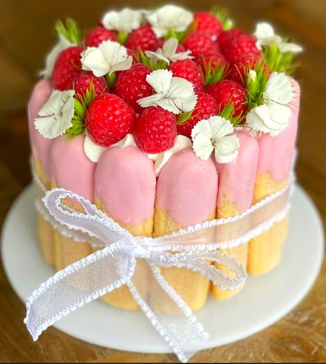 Cups of Dew Ladyfingers Cake, Raspberry Charlotte, Charlotte Cake, Lemon Bars Easy, Mini Torte, Raspberry Mousse, Beautiful Cake Designs, French Patisserie, Catering Ideas Food