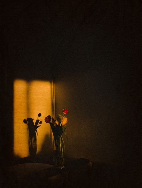 #sunset #shadows #flowers #evening Shadow Light Photography, Light And Shadow Aesthetic, Normal Background For Editing, Daydreaming Aesthetic, Quran Background, Nature Baground Images, Sunset Shadow, Light In Darkness, Light And Shadow Photography