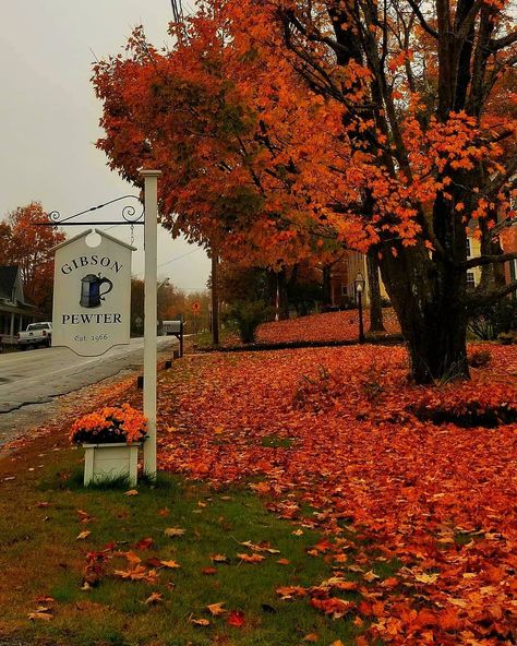 Colorful Autumn Aesthetic, New Hampshire Fall, October Is My Favorite, East Coast Aesthetic, Fall Boards, Fall Inspo, My Favorite Color, Fall Feels, Autumn 2024