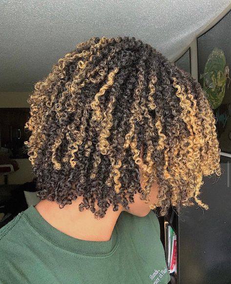 Dyed 4c Hair, Natural Hair Highlights, Short Natural Curly Hair, Natural Curly Hair Cuts, Girl Hair Colors, Natural Twists, Sister Locs, Dye Hair, Hair Patterns