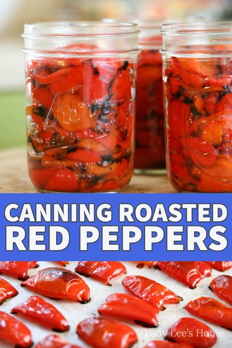 Canning Roasted Red Peppers, Can Peppers, Pickling Peppers, Canning Bell Peppers, Roasted Red Peppers Recipes, Canning Peppers, Red Pepper Recipes, Homestead Recipes, Pressure Canning Recipes