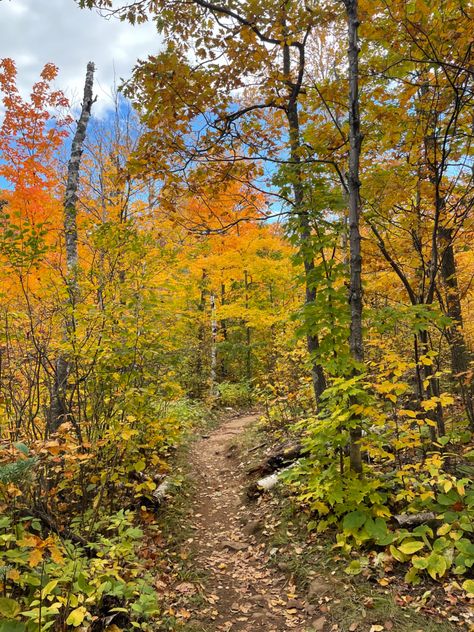 Fall colored trees of orange, yellow, red and green in a path hiking in Bean and Bear Lake Loop in the North Shore of MN Mn North Shore, Minnesota North Shore, North Shore Mn, Day Hiking, Window Seats, Weekend Hiking, Bear Lake, Usa Travel Destinations, Lake Superior