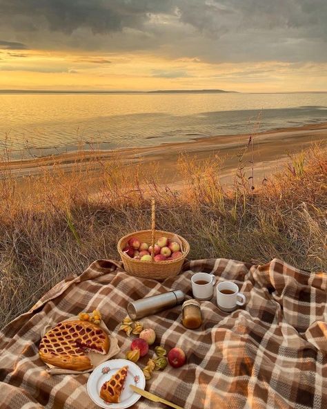 Cosy Aesthetic, Fall Picnic, Picnic Inspiration, Fall Mood Board, A Night At The Opera, Cosy Winter, Fall Inspo, Fall Feels, Winter Night