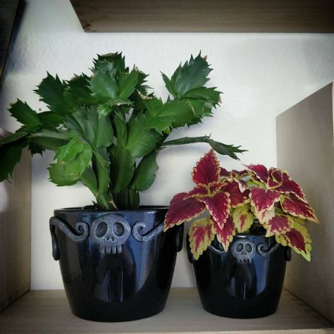 Macabre Decor, Spooky Halloween Gifts, Terra Cotta Pot Crafts Diy, Goth Garden, Terra Cotta Pot Crafts, Unusual Plants, Witchy Decor, Ceramic Pots, Spooky Decor