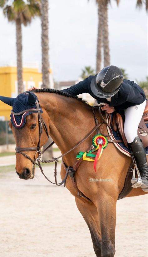 Horse Shows Aesthetic, Showjumper Aesthetic, Show Jumping Aesthetic, Showjumping Photography, Horse Show Aesthetic, Horse Riding Competition, Showjumping Aesthetic, Horseback Riding Outfit, Horse Show Jumping