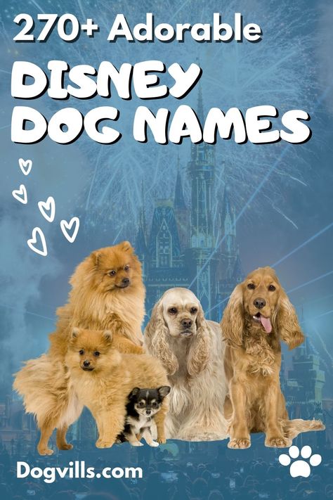 20 Adorable Disney Inspired Dog Names for Boys & Girls Disney Girl Dog Names, Disney Dog Names Boys, Disney Animal Names, Marvel Dog Names, Disney Girl Names, Disney Boy Names, Puppy Names Boy, Dog Names Disney, Good Boy Dog Names