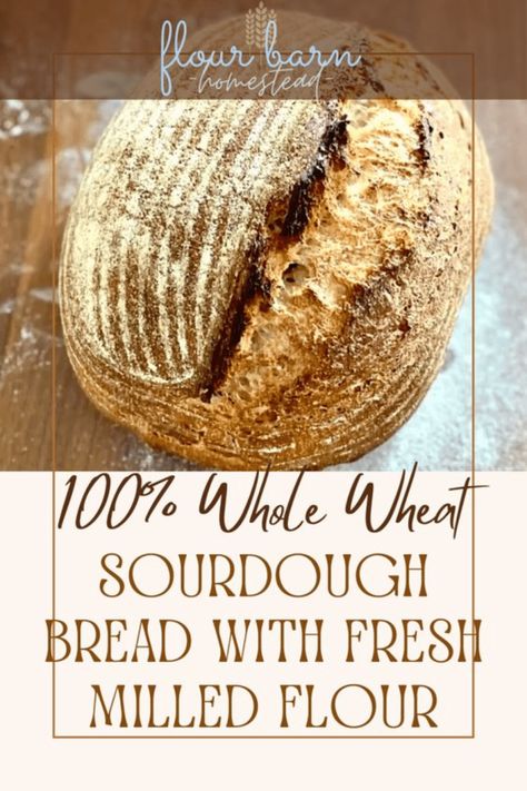 100% Whole Wheat Sourdough Bread with Fresh Milled Flour - The Flour Barn Homestead Rustic Sourdough Bread Recipe, Whole Wheat Sourdough, Sourdough Recipe, Whole Grain Flour, Sourdough Bread Recipe, Sourdough Baking, Whole Wheat Bread, Fool Proof Recipes, Wheat Bread