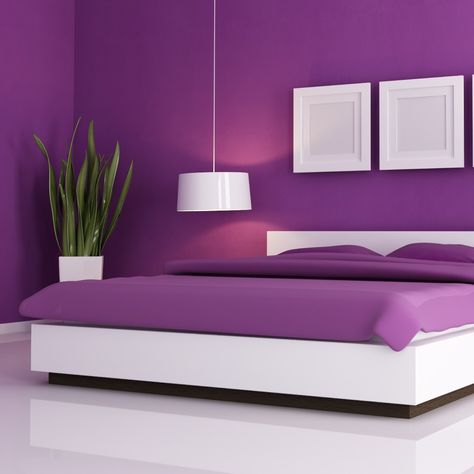 Adding deep royal purple tones to bedroom walls brings life and boldness to the space, illuminating the room with pure energy and style in an extraordinary way! #HappilacPaints #ColorsofHappiness #Purple #ShadesofPurple #roomdecor #roominspiration #interiordesign #beautifulrooms #wallpaint Modern Purple Bedroom, Purple Wall Bedroom, Purple Bedroom Walls, Purple Bedroom Design, Purple Interior Design, Spa Table, Purple Bedroom Decor, Purple Room Decor, Bedroom Purple