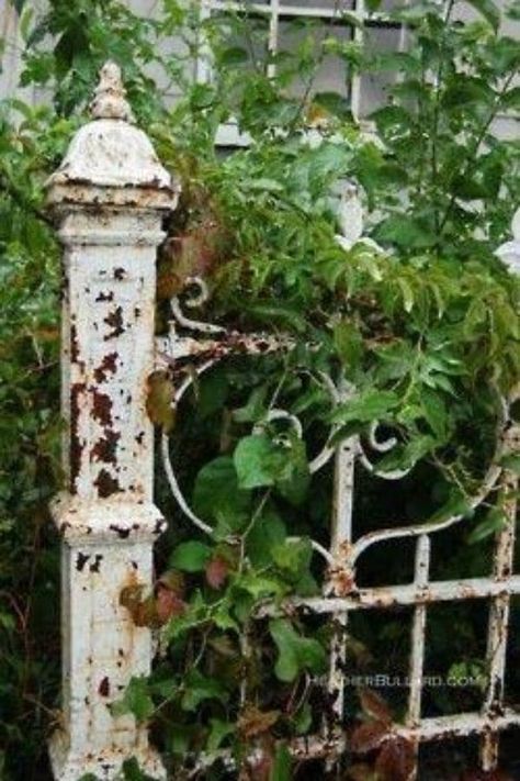 32 Charming Vintage Garden Decor Ideas You Can DIY Chic Patio, Wrought Iron Garden Gates, Old Gates, Iron Garden Gates, Garden Wallpaper, Vintage Garden Decor, Have Inspiration, The Secret Garden, Iron Gate