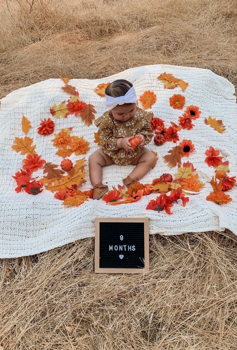 Pictures For Babies, 1st Fall Photoshoot, Baby First Fall Pictures, Fall 1 Year Pictures, Baby 9 Month Photoshoot, Fall Two Month Pictures, Fall Photo Shoot Ideas For Babies, 9 Month Photo Ideas, Fall 6 Months Photoshoot