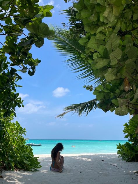 Maldives, The Ocean, Trees