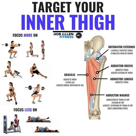 Rob Allen on Instagram: “💥INNER THIGH💥 . Follow @roballenfitness for more fitness/nutrition info 😎 . The “ABDuctors” of your leg get all the glory. They work your…” Adductor Exercises, Thigh Exercises For Women, Inner Thigh Muscle, Quad Muscles, Arm Exercise, Best Leg Workout, Inner Thigh Workout, Thigh Muscles, Fat Loss Diet