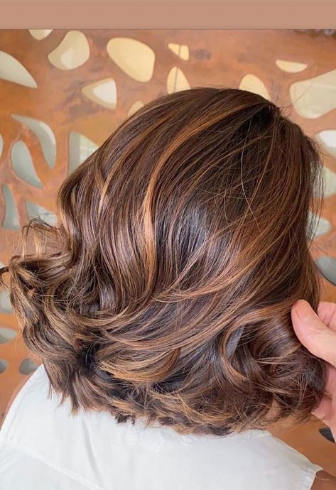 Short Hair Styles Highlights, Caramel Hair Brunette, Chestnut Brown Hair With Red Highlights, Copper Brown Balayage Short Hair, Hair Cut And Color Trends, Medium Length Copper Brown Hair, Short Hair Color 2023 Trends, Short Hair With Dye, Hair Colour Ideas Highlights