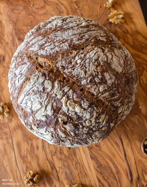 Homemade German Walnut Bread | Homestead Herbs & Healing | holistic living Walnut Rolls, Herbs Healing, Walnut Bread Recipe, German Bread, Protein Bread, Walnut Bread, Knead Bread, Breads & Buns, Types Of Flour