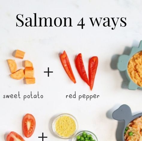 Annabel Karmel on Instagram: "4️⃣ WAYS WITH SALMON 🐟⁠ ⁠ Did you know that in your baby’s first 2 years, their brain develops at a faster rate than at any other time in their life? Mind blowing, isn’t it?!⁠ ⁠ And when it comes to brain development, those omega 3 fatty acids are super important. Giving them oily fish, like salmon, is a great way to pack in this critical nutrient. Include oily fish in your baby’s diet twice a week.⁠ ⁠ You can mix it up and use tinned salmon too! Tinned salmon is also a good source of calcium (because of the bones). Just ensure they are completely grounded / blended for your baby.⁠ ⁠ Find all these brand-new salmon recipe on my Baby & Toddler Recipe App 📲👶🏾⁠ ⁠ 1️⃣ Salmon, Sweet Potato & Red Pepper Puree ⁠ ⁠ 2️⃣ Salmon, Tomato & Pea Orzo ⁠ ⁠ 3️⃣ Salmon, Squ Salmon Baby Food Recipes, Salmon For Baby, Pea Orzo, Salmon Squash, Red Pepper Puree, Salmon Tomato, Pepper Puree, 7 Months Baby Food, Toddler Recipe