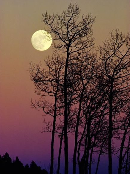 . Moon Beauty, Ormanlık Alan, Rio Grande Valley, Shoot The Moon, Moon Pictures, Airbrush Art, Evening Sky, Beautiful Moon, Rio Grande