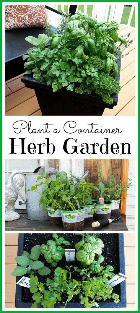 Container Herb Garden, Herb Containers, Vertical Herb Garden, Herbs Indoors, The Secret Garden, Landscaping Tips, Deck Garden, Growing Herbs, Flowers Garden