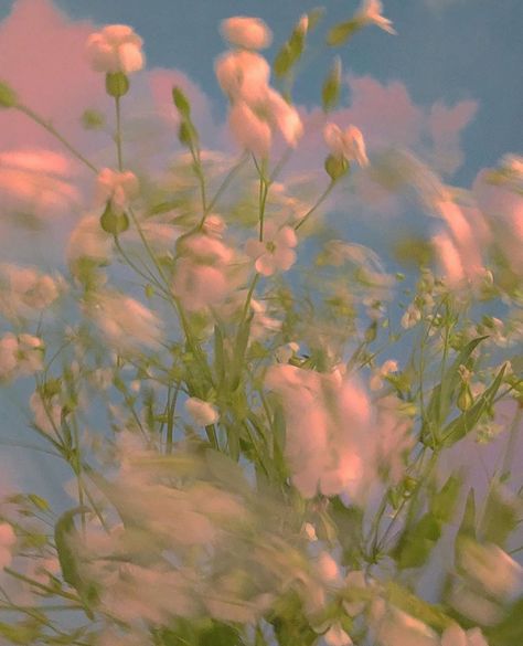 Clo on Instagram: “By @brrch_floral June 2020 💕” Pink, Instagram, Flowers, The Grass, White Flowers, Green, Blue, White