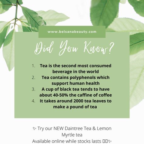 Fun Facts About Tea, Tea Facts, Healthy Facts, Lemon Myrtle, Happy Navratri, Surprising Facts, Tea Lovers, Detox Tea, Tea Blends