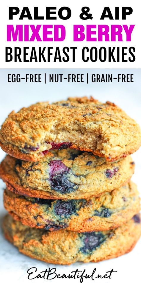 Aip Paleo Breakfast Recipes, Aip Breakfast Bars, Aip Blackberry Recipes, Easy Aip Meal Plan, Paleo Breakfast No Eggs, Paleo Kids Snacks, Aip Snacks Easy, Aip Snacks On The Go, Paleo Party Snacks